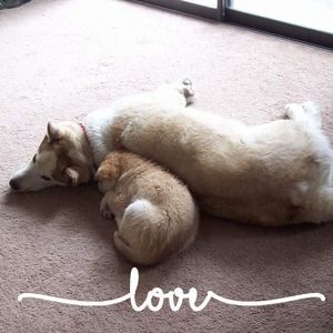 Meet your Posher, Tracey